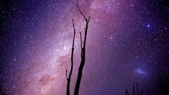 Space Stars silhouette space art digital art dead trees purple
