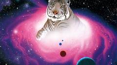 Space tiger Animals