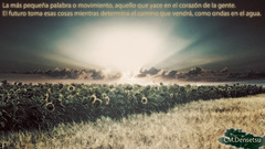 Spanish clouds Flowers Landscapes