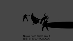 Sparta ninjas ninjas cant