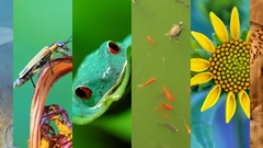 Spectrum national geographic