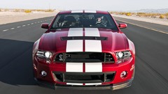 Speed Shelby shelby gt500 Shelby GT500 2013