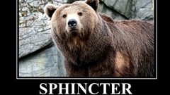 Sphincter so just whipped