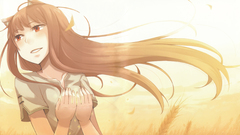 Spice and wolf
