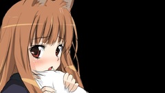 Spice and wolf animal