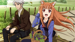 Spice and wolf animal