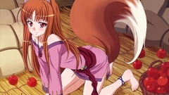 Spice and wolf animal