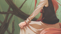 Spice and wolf animal