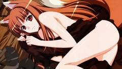 Spice and wolf animal