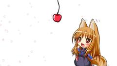 Spice and wolf animal