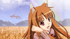 Spice and wolf animal