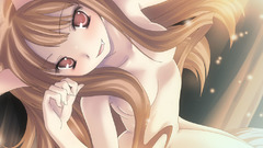 Spice and wolf animal