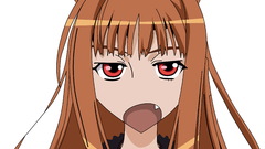 Spice and wolf animal