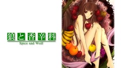 Spice and wolf animal