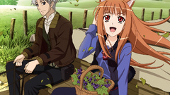Spice and wolf animal