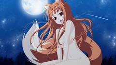Spice and wolf animal