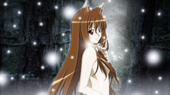 Spice and wolf animal