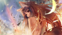 Spice and wolf animal