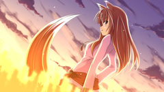 Spice and wolf animal