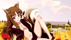 Spice and wolf animal
