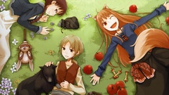 Spice and wolf animal