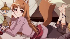 Spice and wolf animal