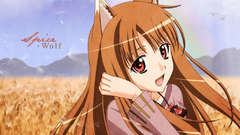 Spice and wolf animal