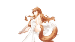 Spice and wolf animal