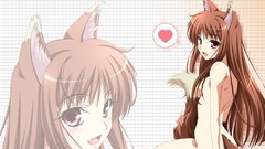 Spice and wolf animal