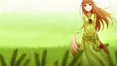 Spice and wolf animal
