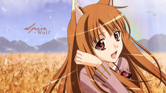 Spice and wolf animal