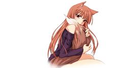 Spice and wolf animal