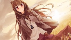 Spice and wolf animal