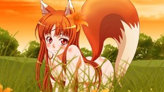 Spice and wolf animal