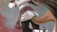 Spice and wolf animal