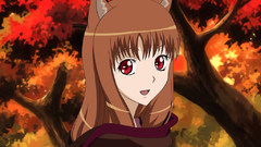 Spice and wolf animal