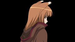 Spice and wolf animal