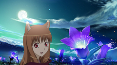 Spice and wolf animal