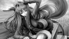 Spice and wolf animal