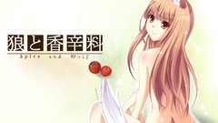 Spice and wolf animal