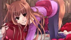 Spice and wolf animal