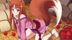 Spice and wolf animal