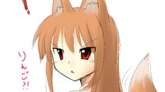 Spice and wolf animal