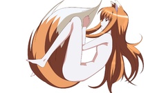 Spice and wolf animal