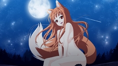 Spice and wolf animal