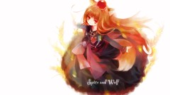 Spice and wolf animal ears Holo The Wise Wolf