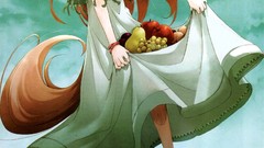 Spice and wolf animal ears Holo The Wise Wolf inumimi