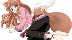 Spice and wolf animal ears Holo The Wise Wolf inumimi