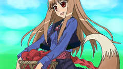 Spice and wolf animal ears Holo The Wise Wolf inumimi