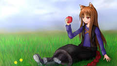 Spice and wolf animal ears Holo The Wise Wolf inumimi